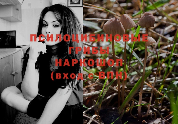 крисы Белоозёрский