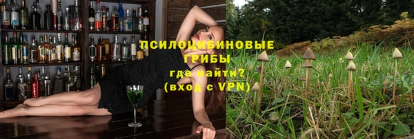 крисы Белоозёрский