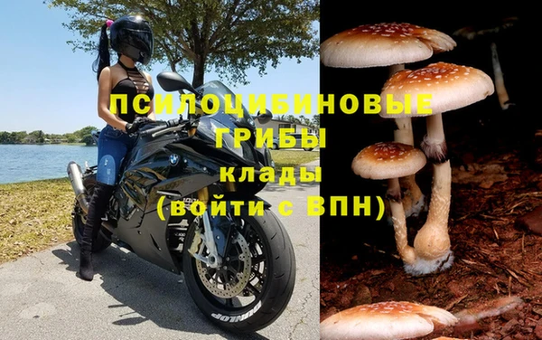 стафф Белокуриха