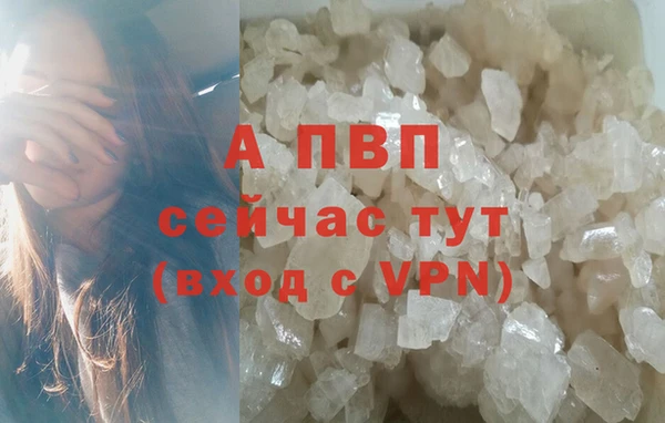 крисы Белоозёрский