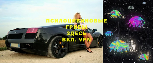 стафф Белокуриха