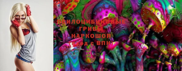 крисы Белоозёрский